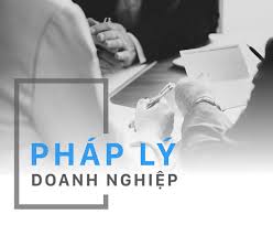 Mức phí tư vấn pháp lý thường xuyên cho doanh nghiệp