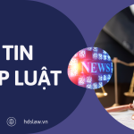 BẢN TIN PHÁP LUẬT