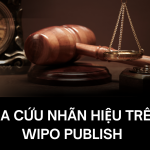 Hướng dẫn tra cứu nhãn hiệu trên WIPO Publish