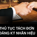 Thủ tục tách đơn đăng ký nhãn hiệu