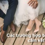 Các trường hợp cấm kết hôn theo pháp luật Việt Nam
